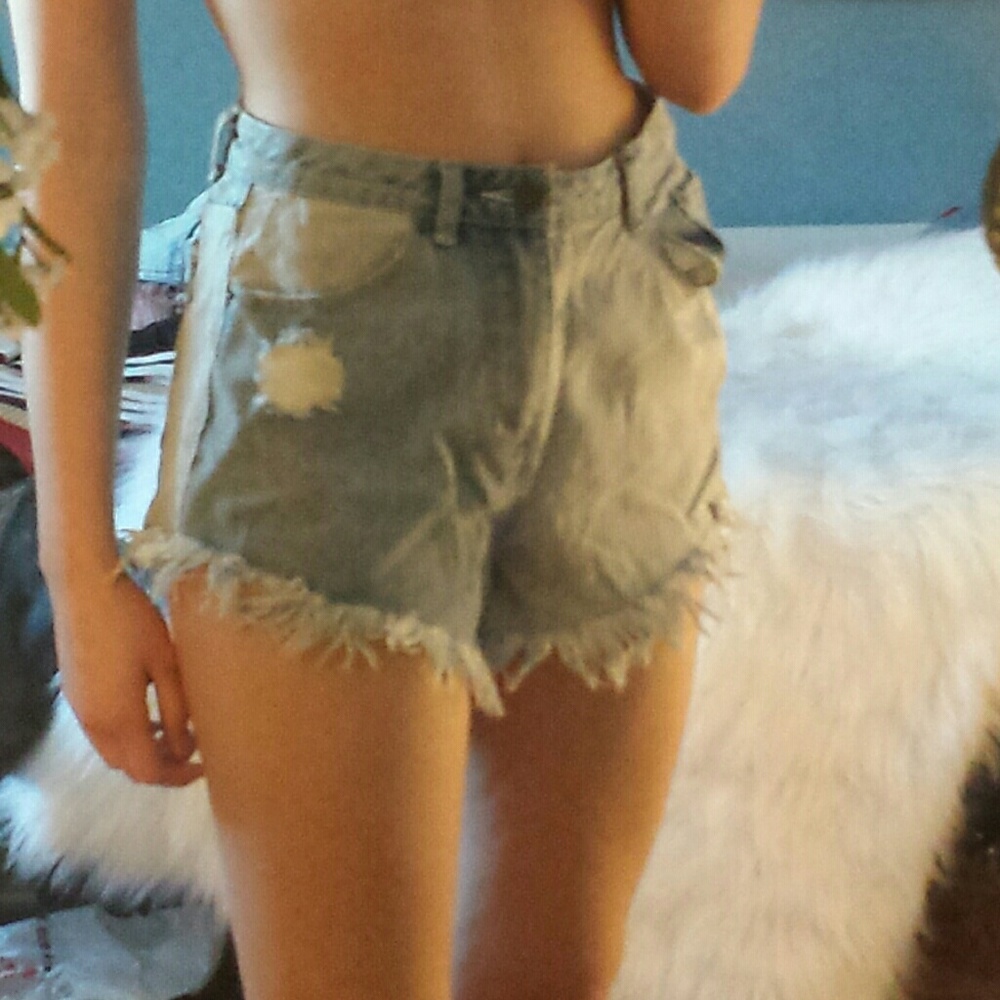 Adorable Shorts!